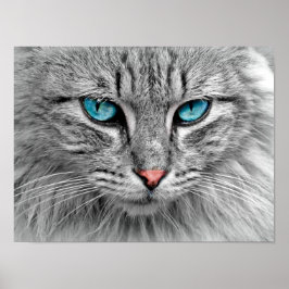 Blue Mit Augen Cat Poster