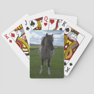 Blue Mit Augen Dartmoor Pony Spielkarten