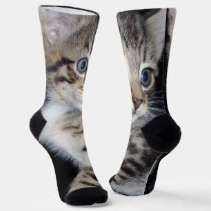 Blue Mit Augen Fluffy Kitten, Crew Socken