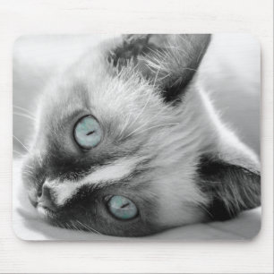 Blue-Mit Augen Kitten Mouse Pad Mousepad