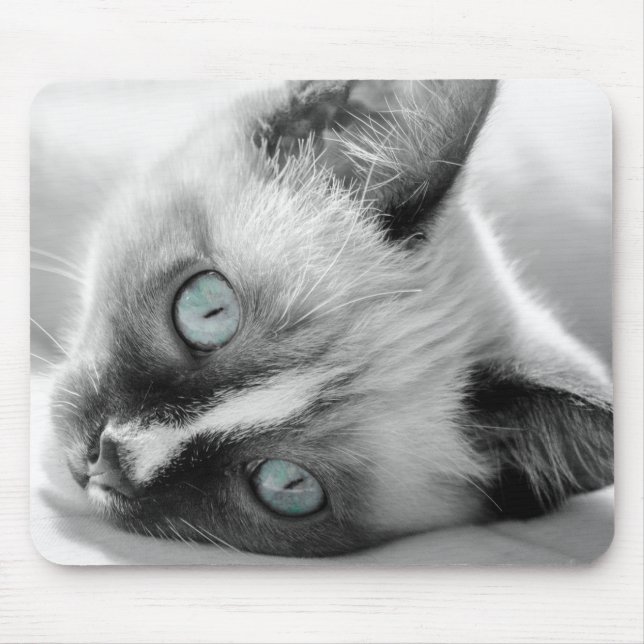 Blue-Mit Augen Kitten Mouse Pad Mousepad (Vorne)