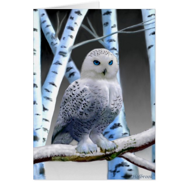 BLUE-MIT AUGEN SNOW OWL (Vorne)