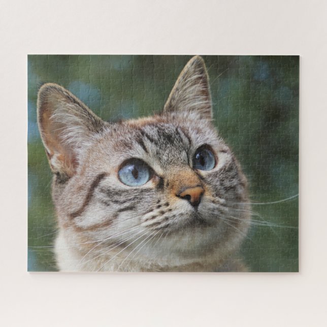 Blue Mit Augen Tabby Cat Jigsaw Puzzle (Horizontal)