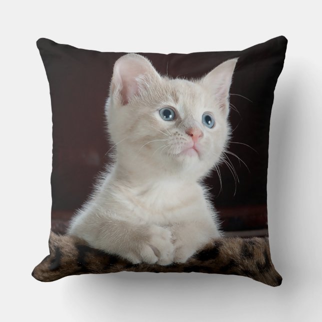 Blue Mit Augen White Kitten Kissen (Vorderseite)