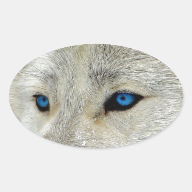 Blue Mit Augen White Wolf Ovaler Aufkleber (Vorderseite)