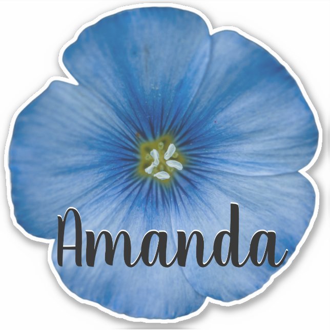 Blue Monogram Name Blume Art Pflanze Niedlich Hübs Aufkleber (Vorderseite)