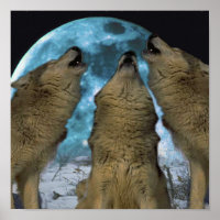 BLUE MOON WOLVES HOWLING CANVAS DRUCKEN