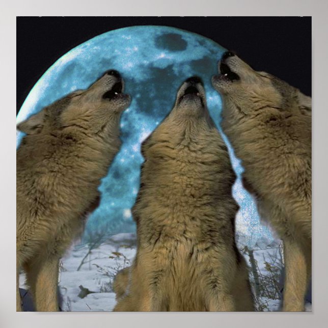 BLUE MOON WOLVES HOWLING CANVAS DRUCKEN POSTER (Vorne)
