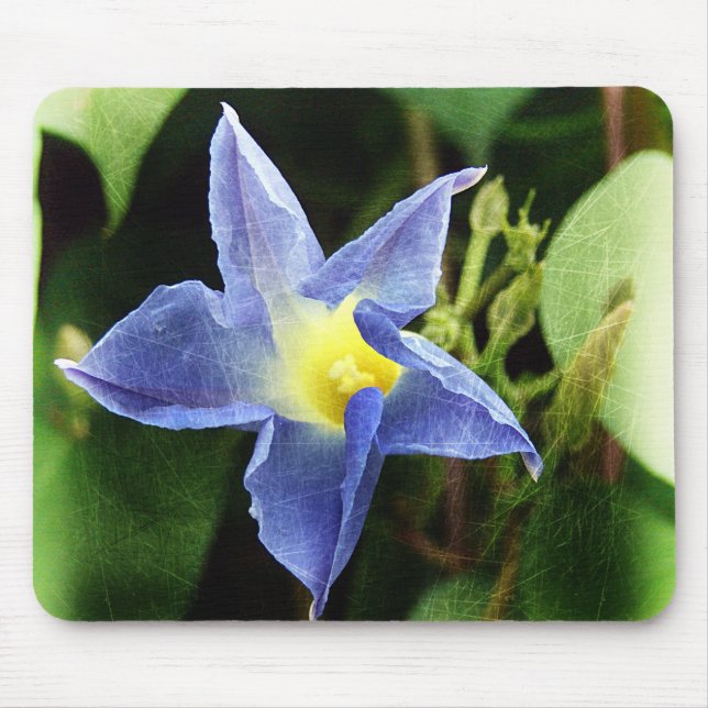 Blue Morning Glory Blume Mousepad (Vorne)