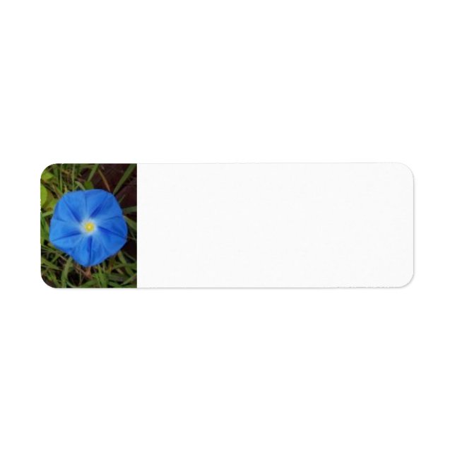 Blue Morning Glory Blumen Label (Vorne)