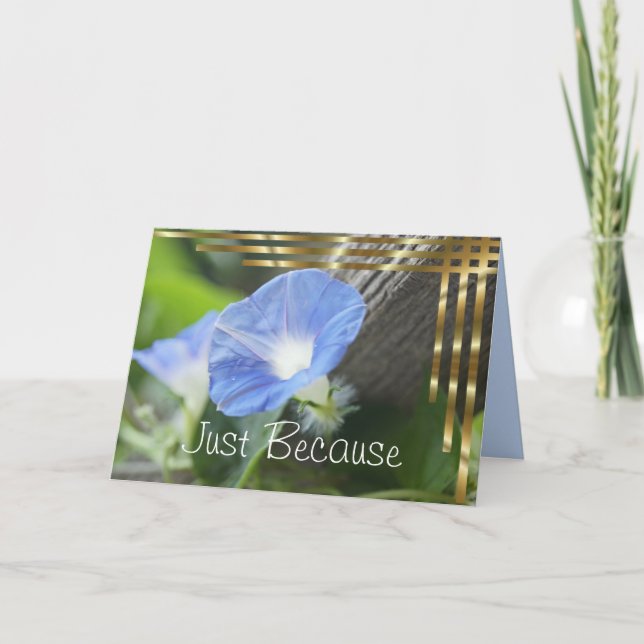 Blue Morning Glory - innen leer Karte (Vorderseite)