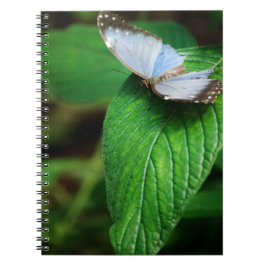 Blue Morpho 112 Notebook Notizblock
