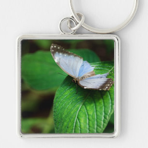 Blue Morpho 112 Schlüsselanhänger