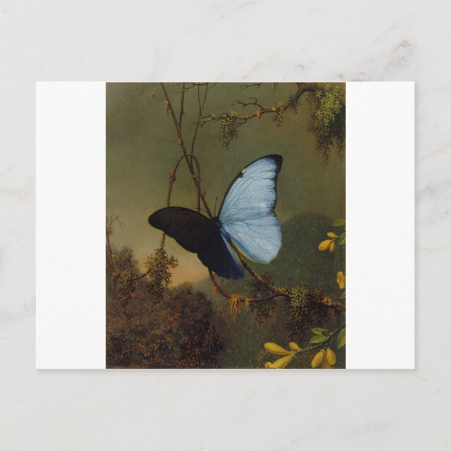 Blue Morpho Butterfly 1865 Frühling Persönliche Ku Postkarte (Vorderseite)