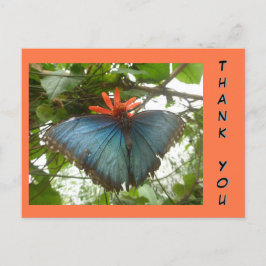Blue Morpho Butterfly auf Blume Danke Postcard Postkarte
