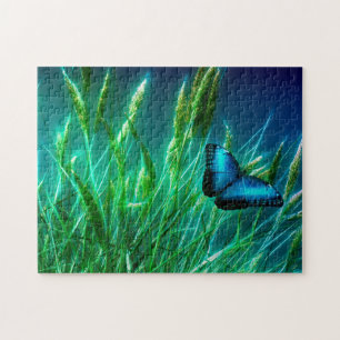 Blue Morpho Butterfly auf grünem Gras