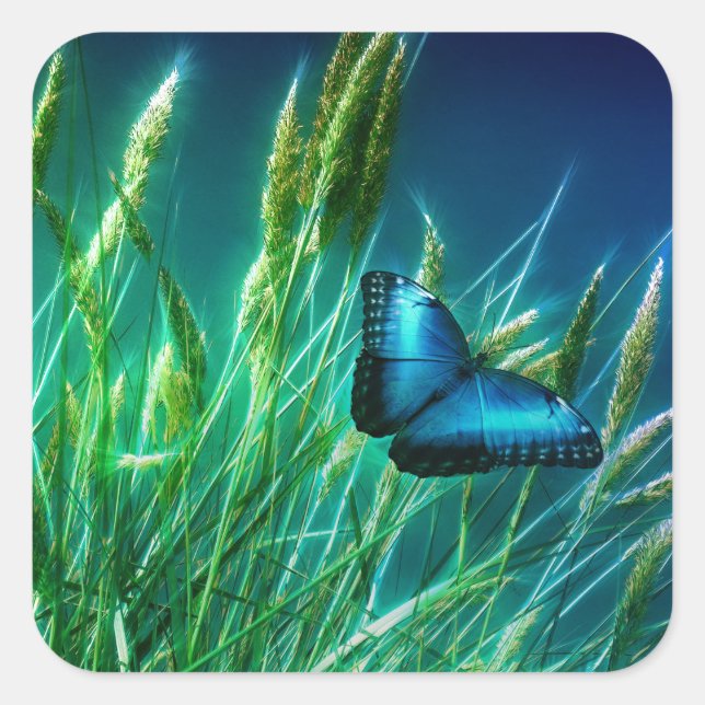 Blue Morpho Butterfly auf grünem Gras Quadratischer Aufkleber (Vorderseite)
