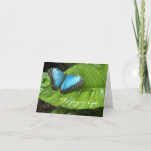 Blue Morpho Butterfly Card Karte