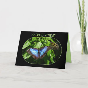 Blue Morpho Butterfly Happy Birthday Karte