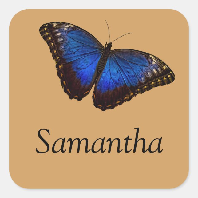 Blue Morpho Butterfly mit Namen Quadratischer Aufkleber (Vorderseite)
