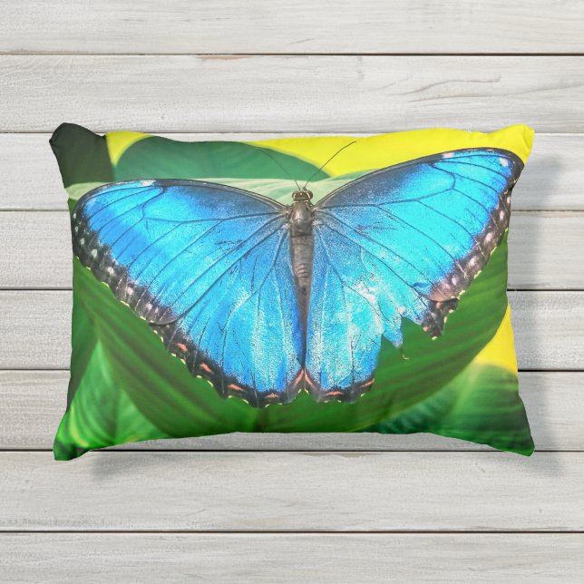 Blue Morpho Butterfly Natur Kissen Für Draußen (Vorderseite)
