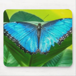 Blue Morpho Butterfly Natur Mousepad