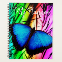 Blue Morpho Butterfly