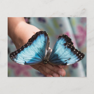 Blue Morpho Butterfly Postkarte