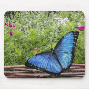 Blue Morpho Butterfly Rustikales Design Mousepad