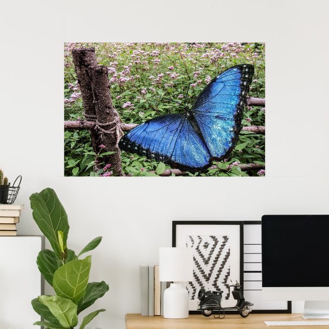 Blue Morpho Butterfly Rustikales Design Poster (Heimbüro)