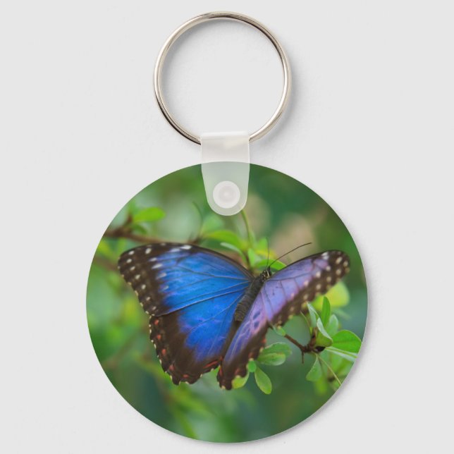 Blue Morpho Butterfly Schlüsselanhänger (Vorderseite)