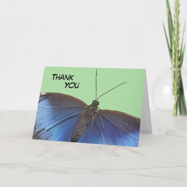 Blue Morpho Butterfly Vielen Dank für Ihre Grußkar Karte (Vorderseite)