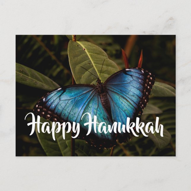 Blue Morpho, Happy Hanukkah Feiertagspostkarte (Vorderseite)