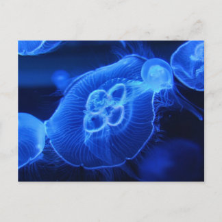 Blue Neon Jellyfish Postkarte