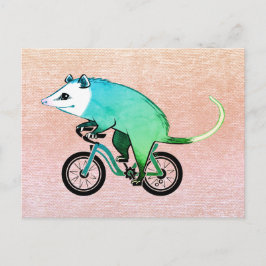 Blue Opossum Reiten Einladungspostkarte