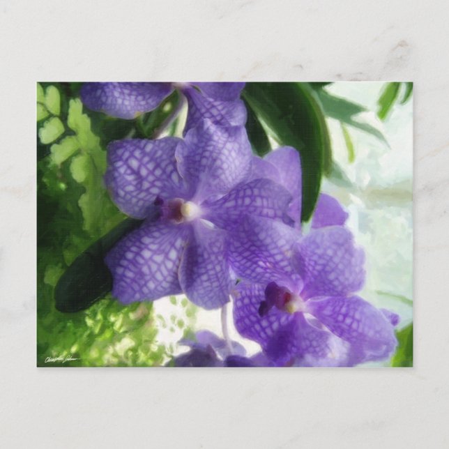 Blue Orchids Painterly Postkarte (Vorderseite)