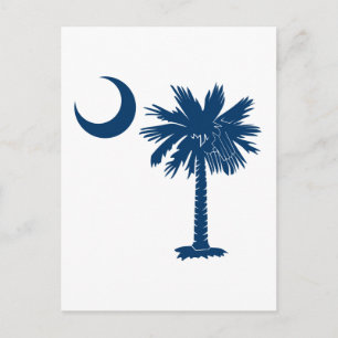 Blue Palmetto Postkarte