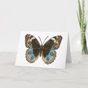 Blue Pansy Butterfly Karte