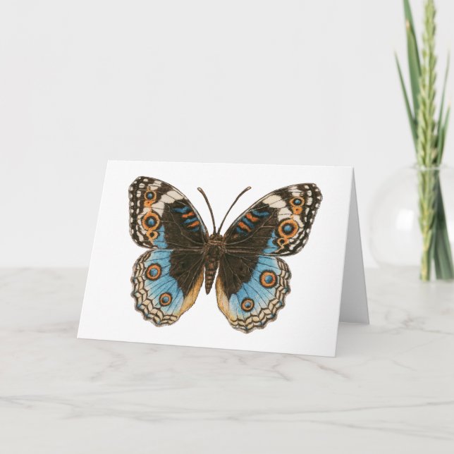 Blue Pansy Butterfly Karte (Vorderseite)