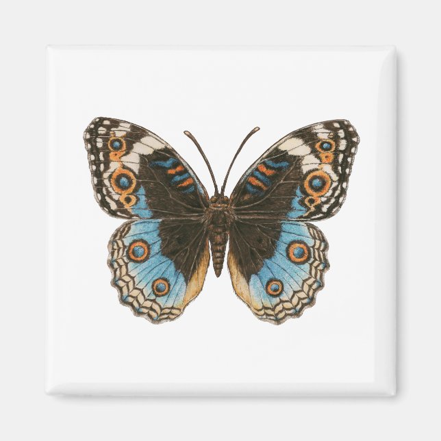 Blue Pansy Butterfly Magnet (Vorne)