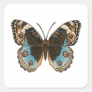 Blue Pansy Butterfly Quadratischer Aufkleber