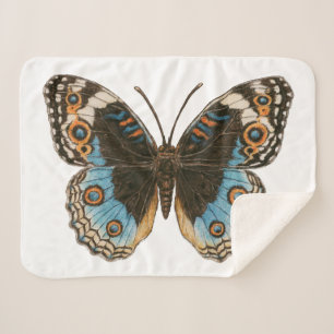 Blue Pansy Butterfly Sherpadecke