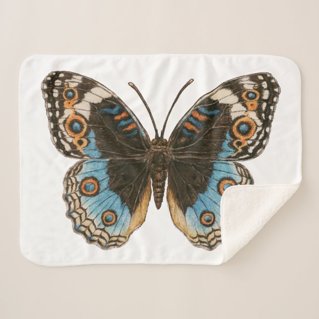 Blue Pansy Butterfly Sherpadecke (Vorderseite (Horizontal))