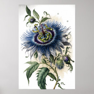 Blue Passion Flowers Art Imprimer Poster
