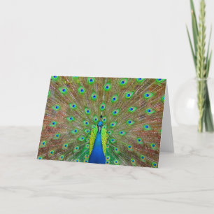 Blue Peacock #3 Karte