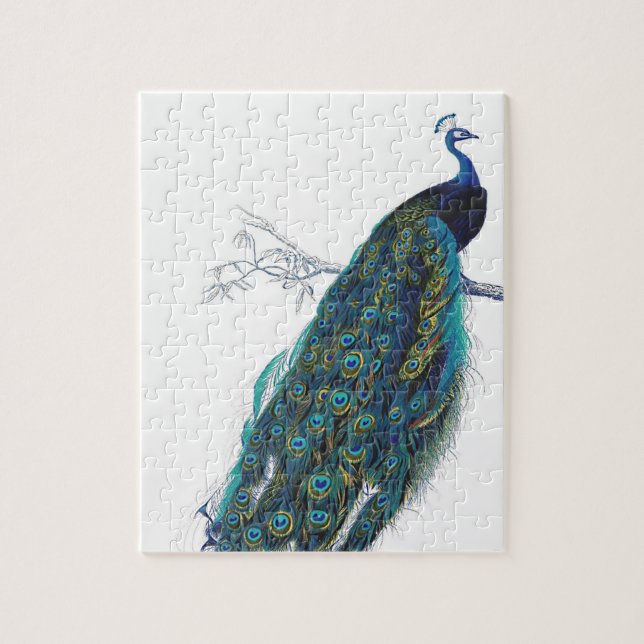 Blue Peacock mit schönen Federn aus Schwanz (Vertikal)
