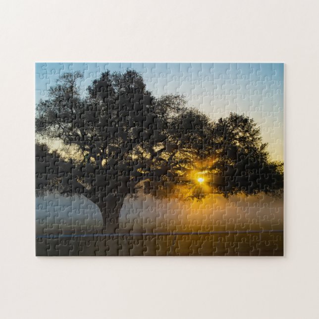 Blue Peter Tree Sunrise (Horizontal)