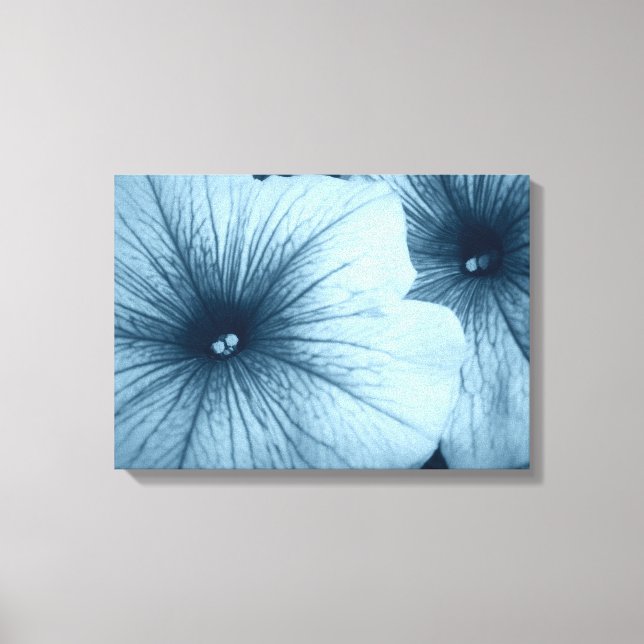 Blue Petunias Leinwanddruck (Vorderseite)