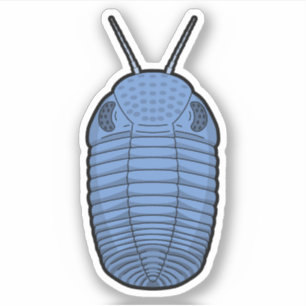 Blue Phacops Trilobit - prähistorisches TierVinyl Aufkleber