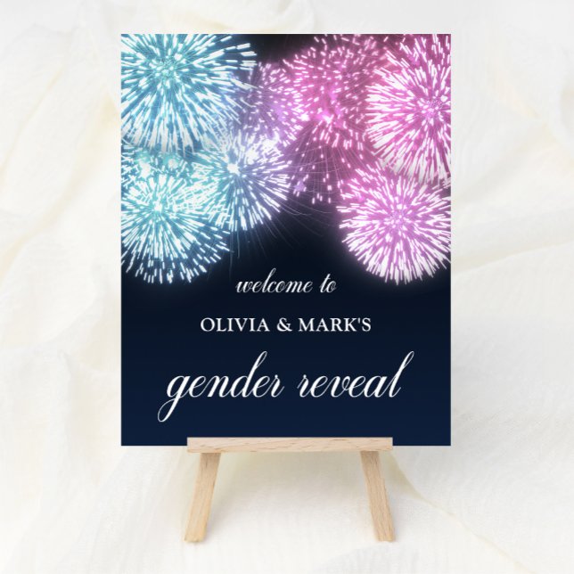 Blue Pink Firework Gender Reveal Willkommen Poster (Von Creator hochgeladen)